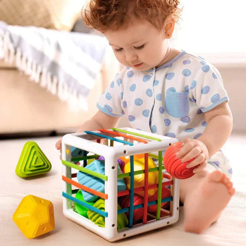 Matvir™Box - Educational Box