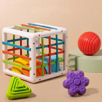 Matvir™Box - Educational Box