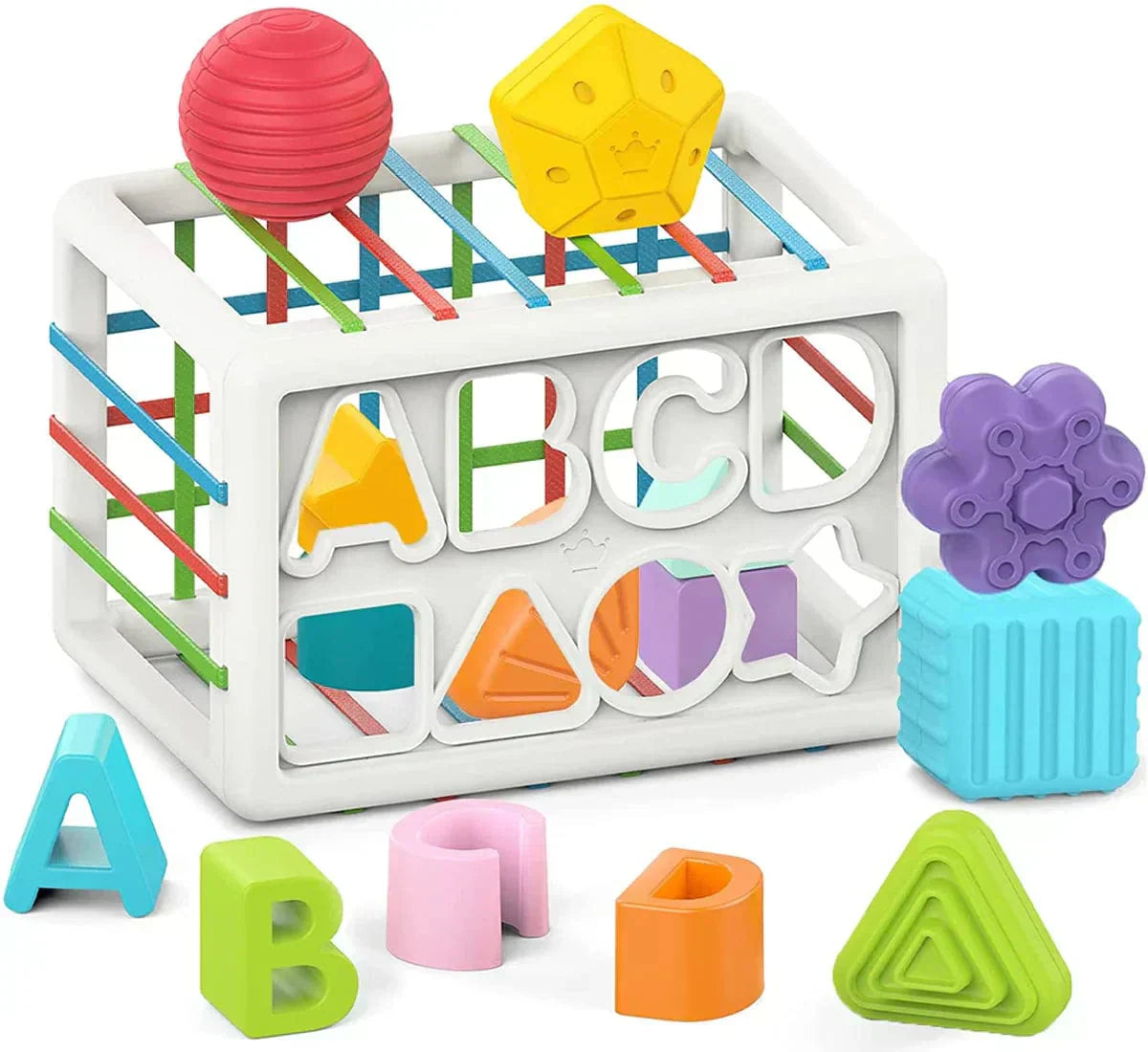 Matvir™Box - Educational Box