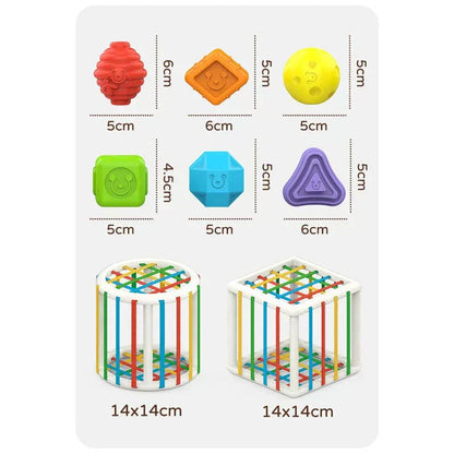 Matvir™Box - Educational Box