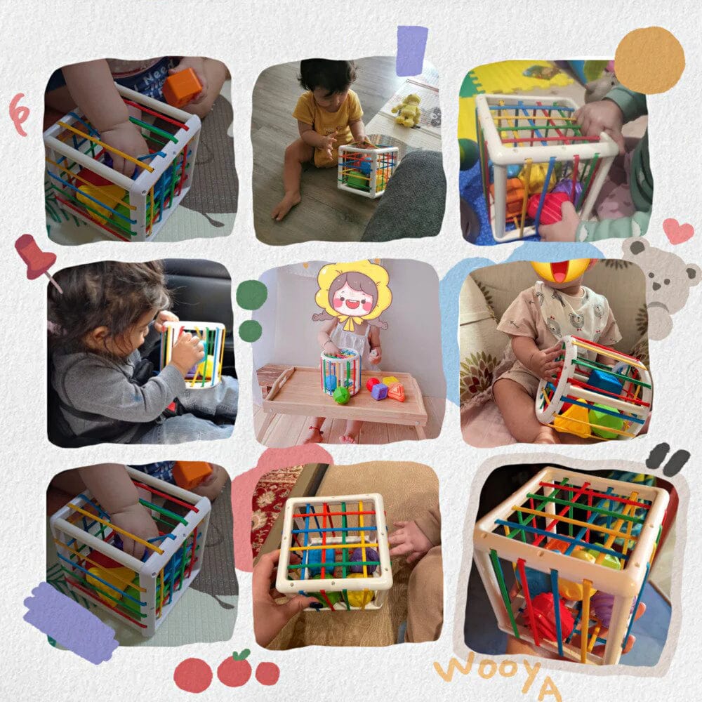 Matvir™Box - Educational Box