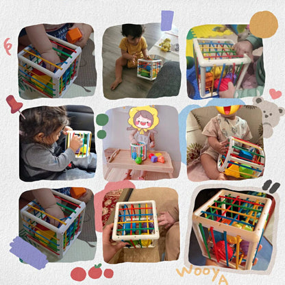 Matvir™Box - Educational Box